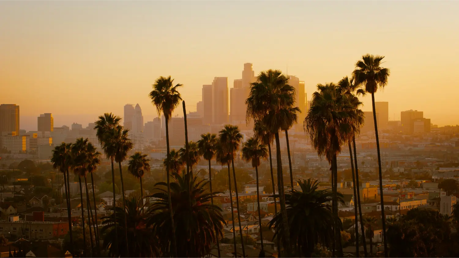 los-angeles_unsplash_03_24.webp